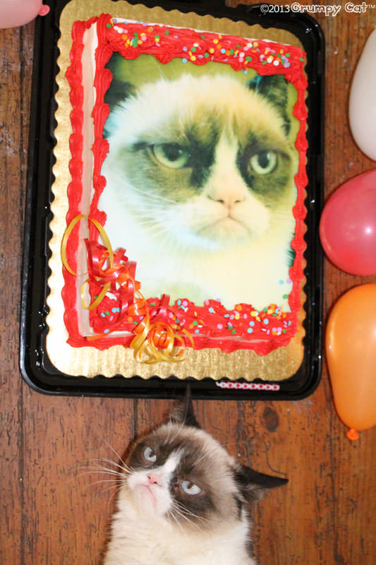 Happy Birthday Grumpy Cat!