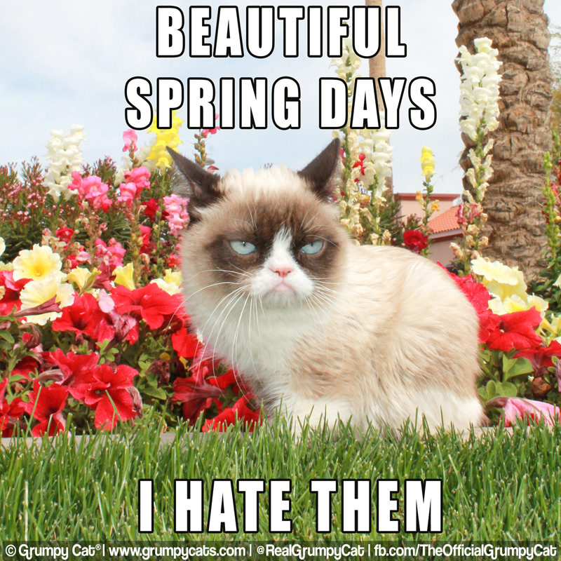 It's the First Day of Spring!