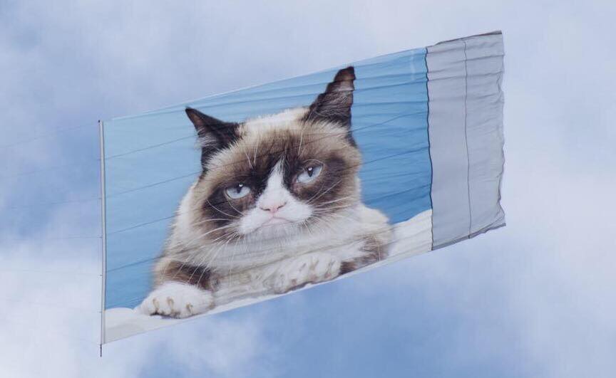 Grumpy Cat Soars Over SXSW