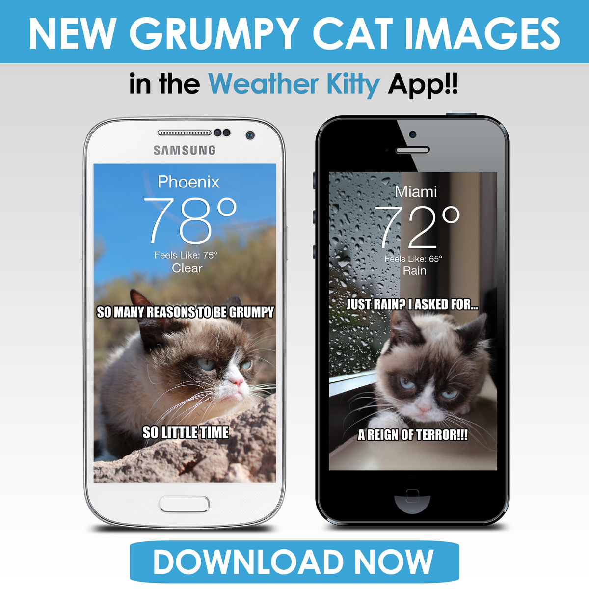 New Images Added in Grumpy Cat's Weather Kitty Theme