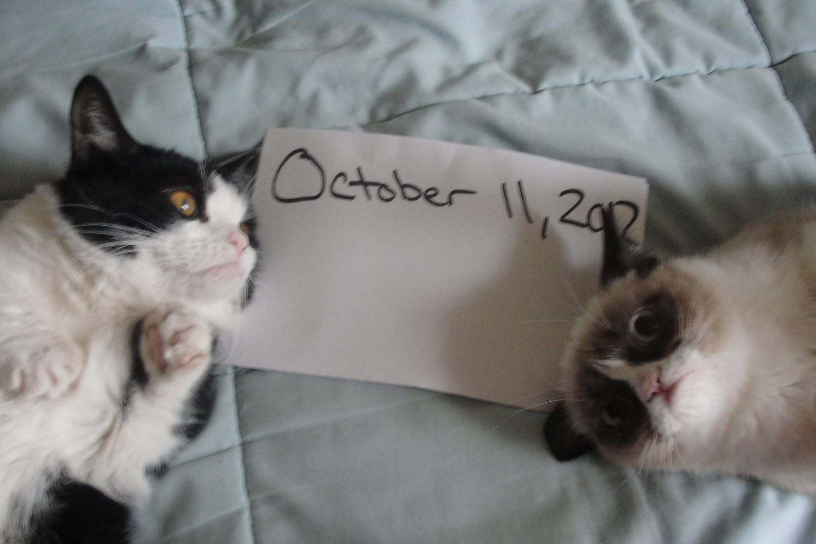 October 11th, 2012