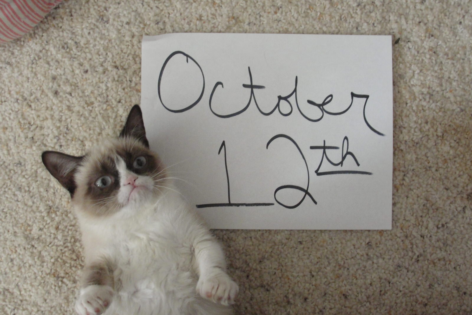 October 12th, 2012