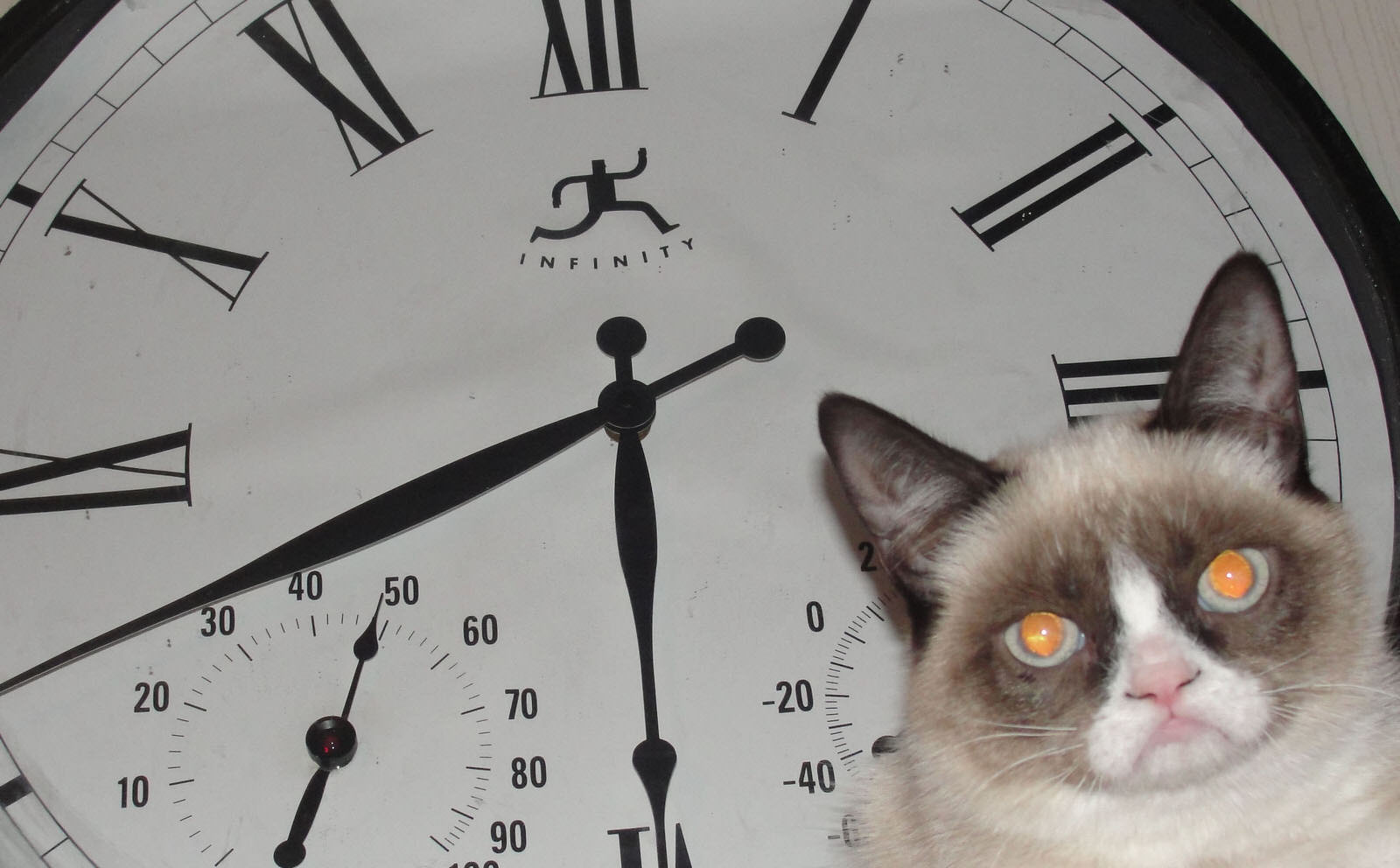 Котик 1 час. Cat looking at the Clock. Кошка в Париже. Кошка в Париже фото. Grumpy Cat big Ben.