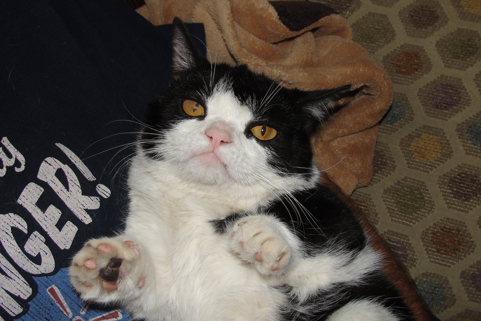 The Daily Grumpy | November 22, 2012 | Happy Thanksgiving