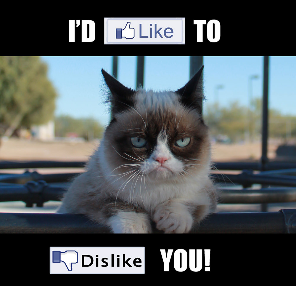 Grumpy Cat hit 300,000 likes on Facebook today... here are her thoughts.