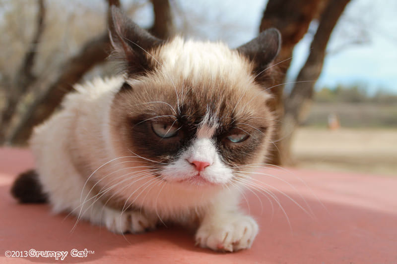 The Almost Daily Grump | February 16, 2013