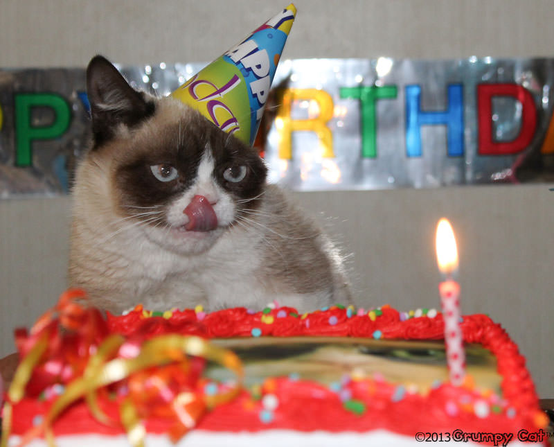 Happy Birthday Grumpy Cat!