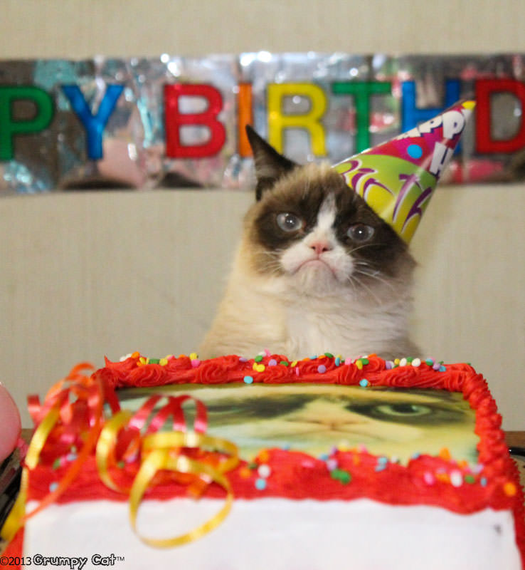 Happy Birthday Grumpy Cat!