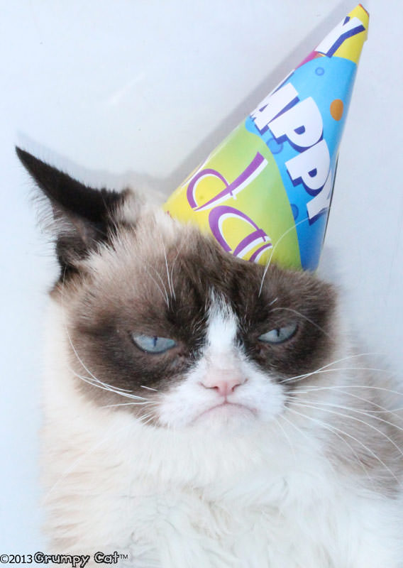 Happy Birthday Grumpy Cat!