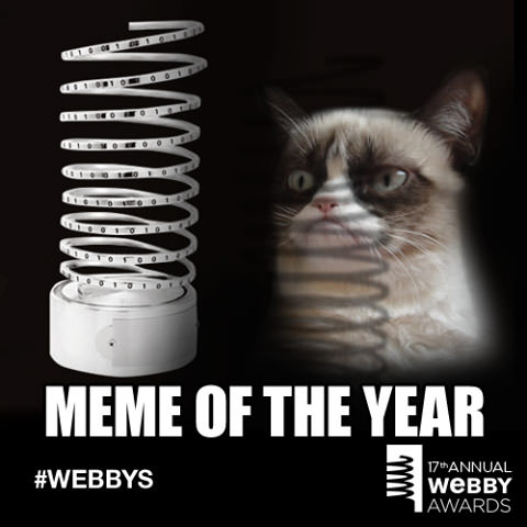 Grumpy Cat wins Meme of the Year at The 17th Annual Webby Awards!