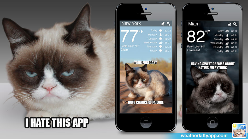 Grumpy Cat theme for the Weather Kitty App (iOS) available today!