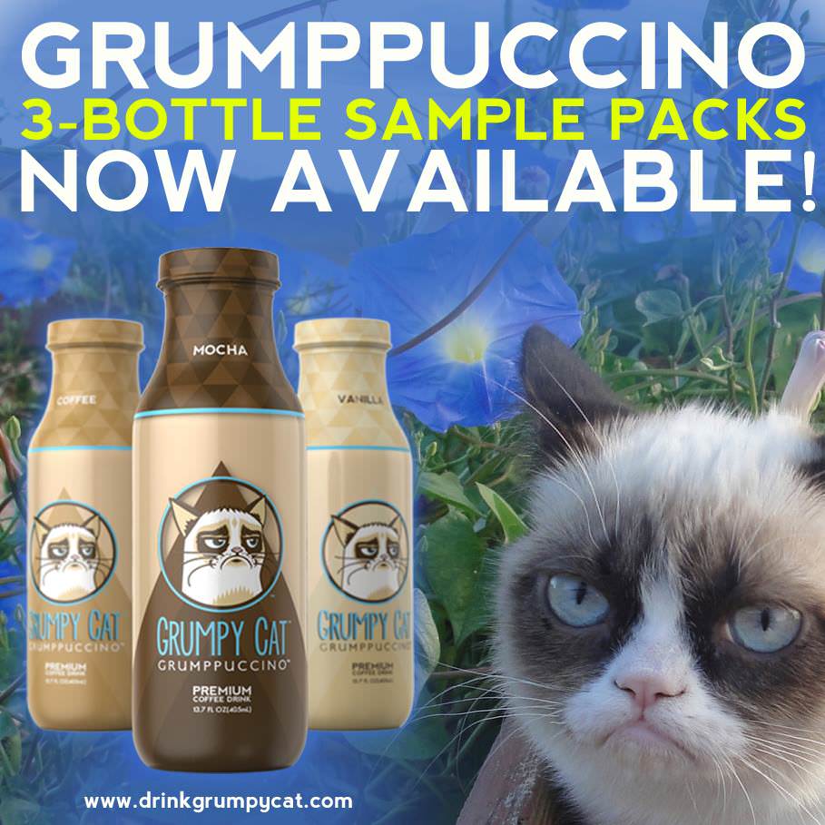 Try all three flavors of Grumpy Cat Grumppuccino with a sample pack!