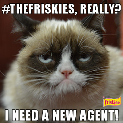 Friskies signs Grumpy Cat as "Spokescat"