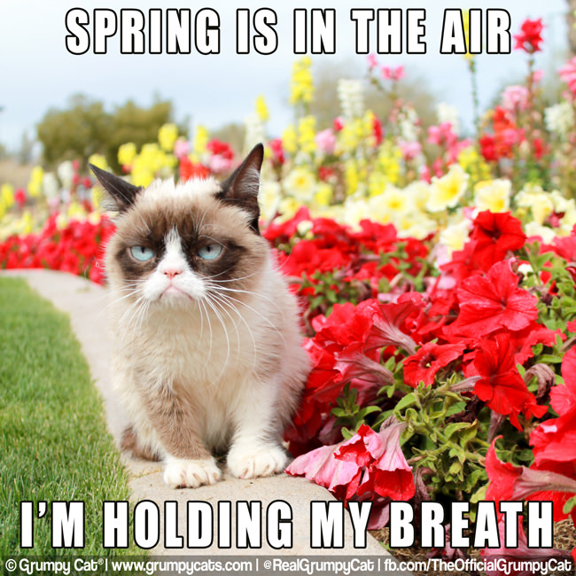 It's the First Day of Spring!