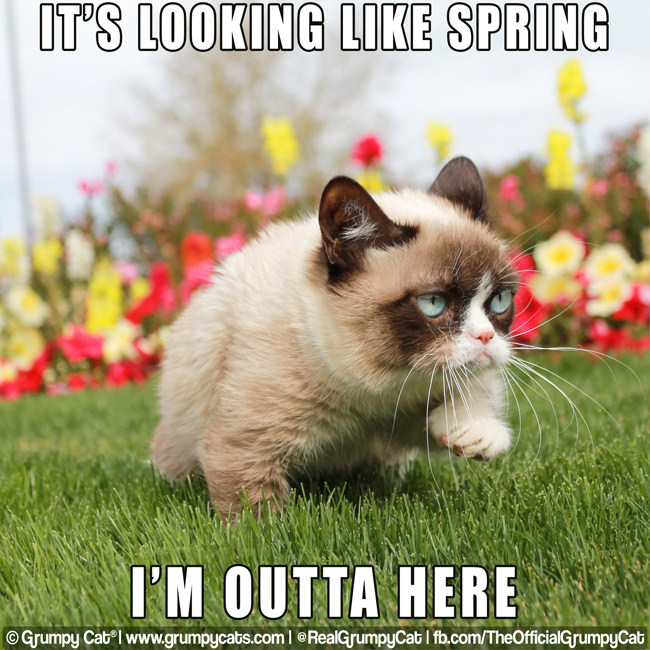 It's the First Day of Spring!