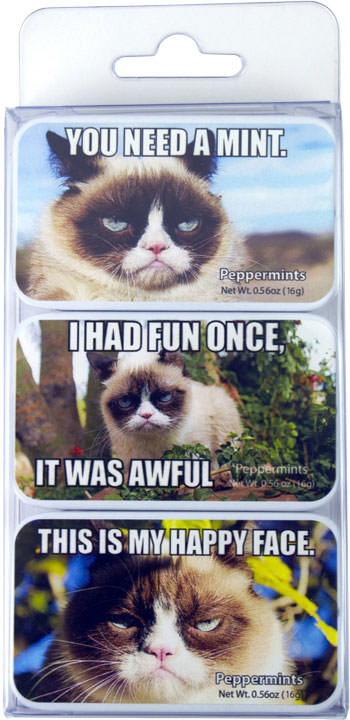 Meet Grumpy Cat in Chicago