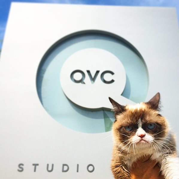 Grumpy Cat takes over QVC's Christmas in July