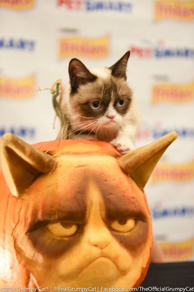Grumpy Cat Pumpkin Stencils grumpy-cat-pumpkin-stencils