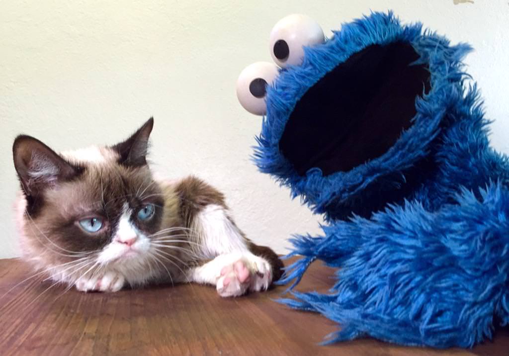 Cookie Monster Tries to #BreakTheInternet with Grumpy Cat