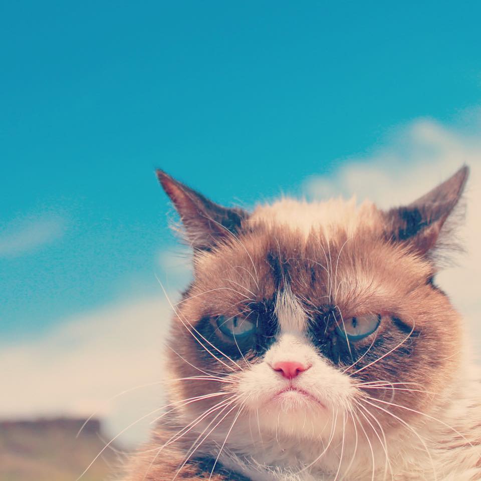 The Daily Grump