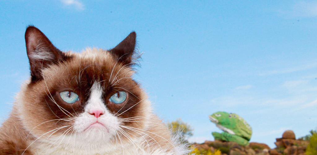 The Daily Grump