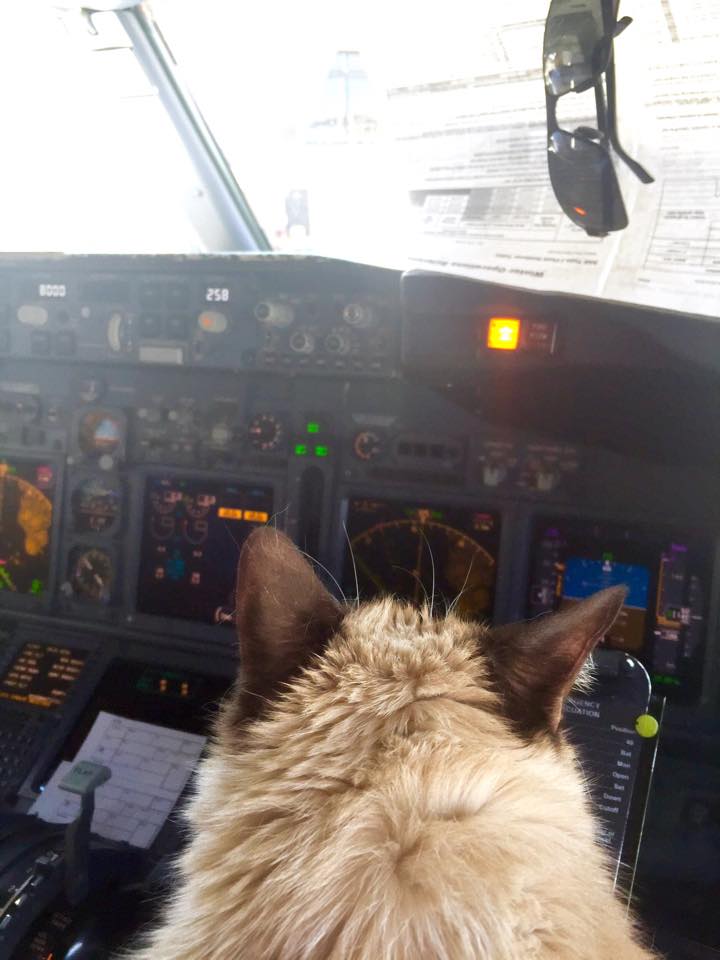 Grumpy Airlines