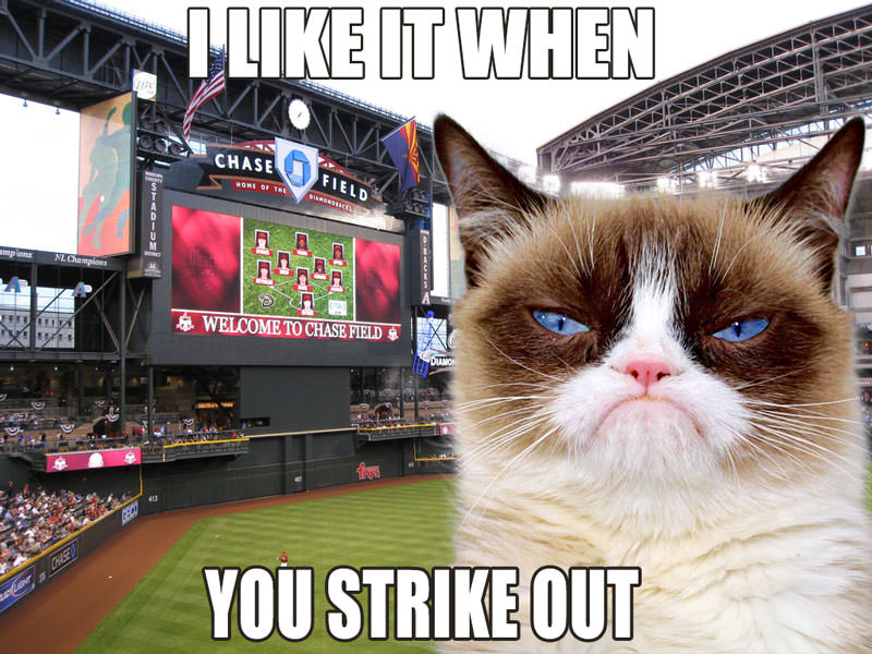 Grumpy Cat Day with the Arizona Diamondbacks