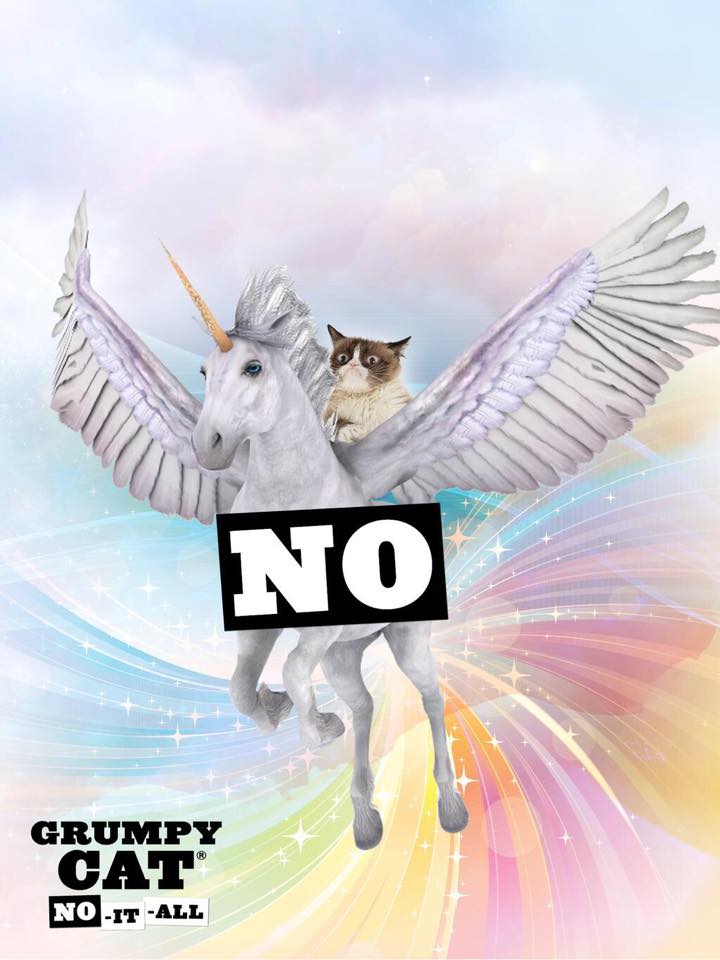 Meet Grumpy Cat today at The Strand in NYC