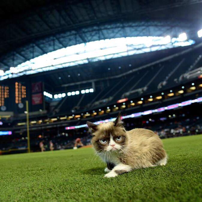 Threw out the first pitch once... It was awful.