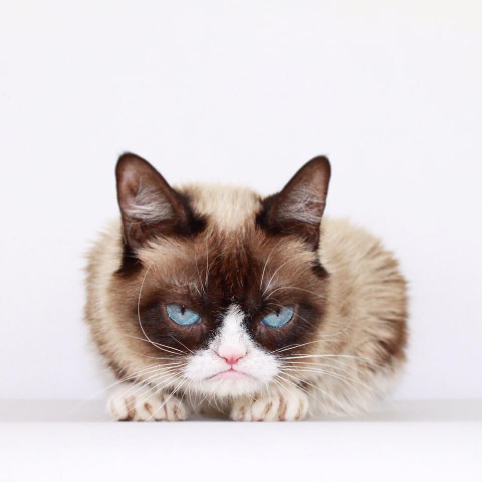 Grumpy Friday the 13th