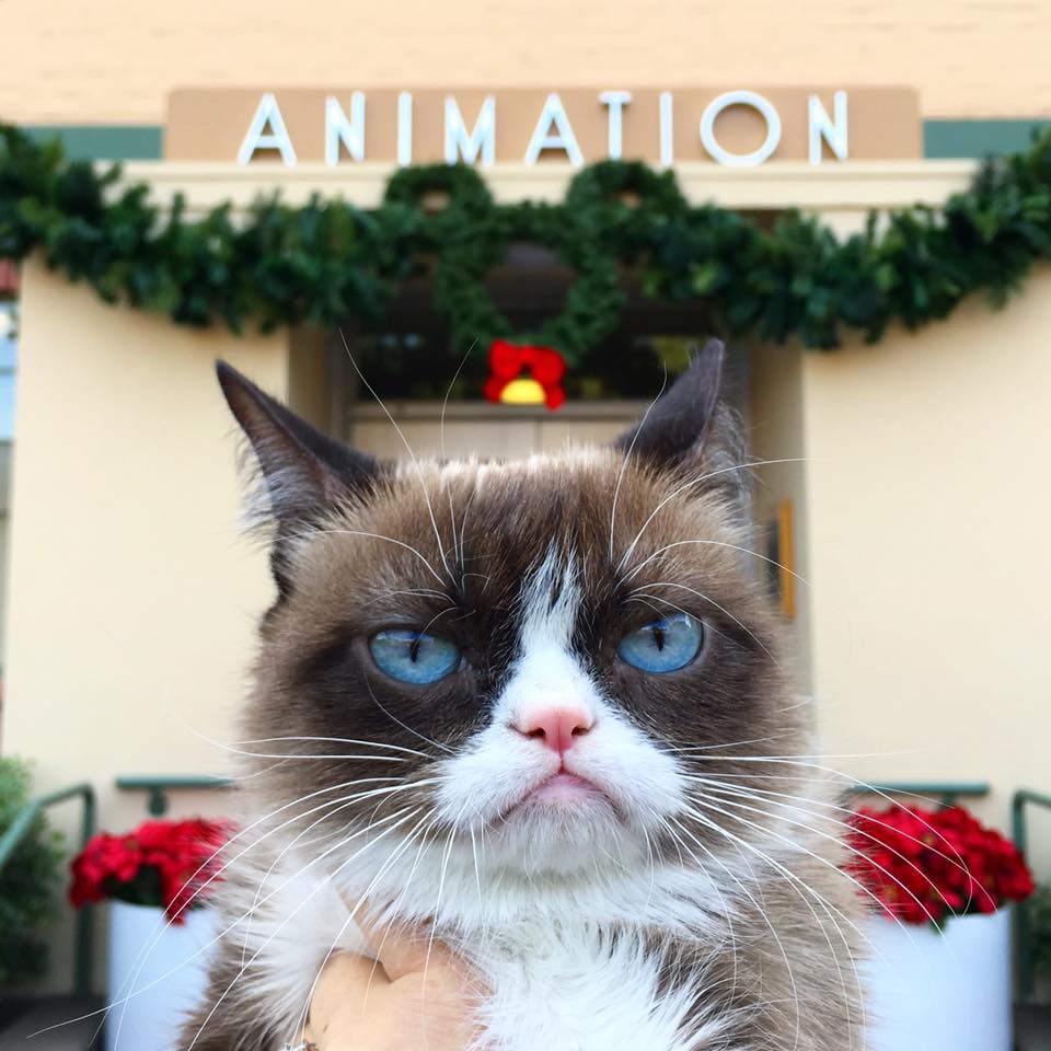 Another Day Another Grump