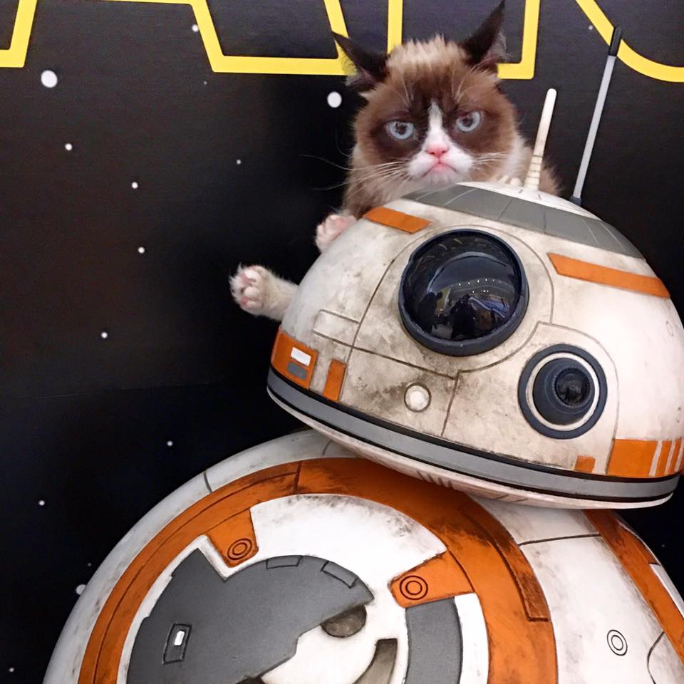 A Grump the Force Has Awakened