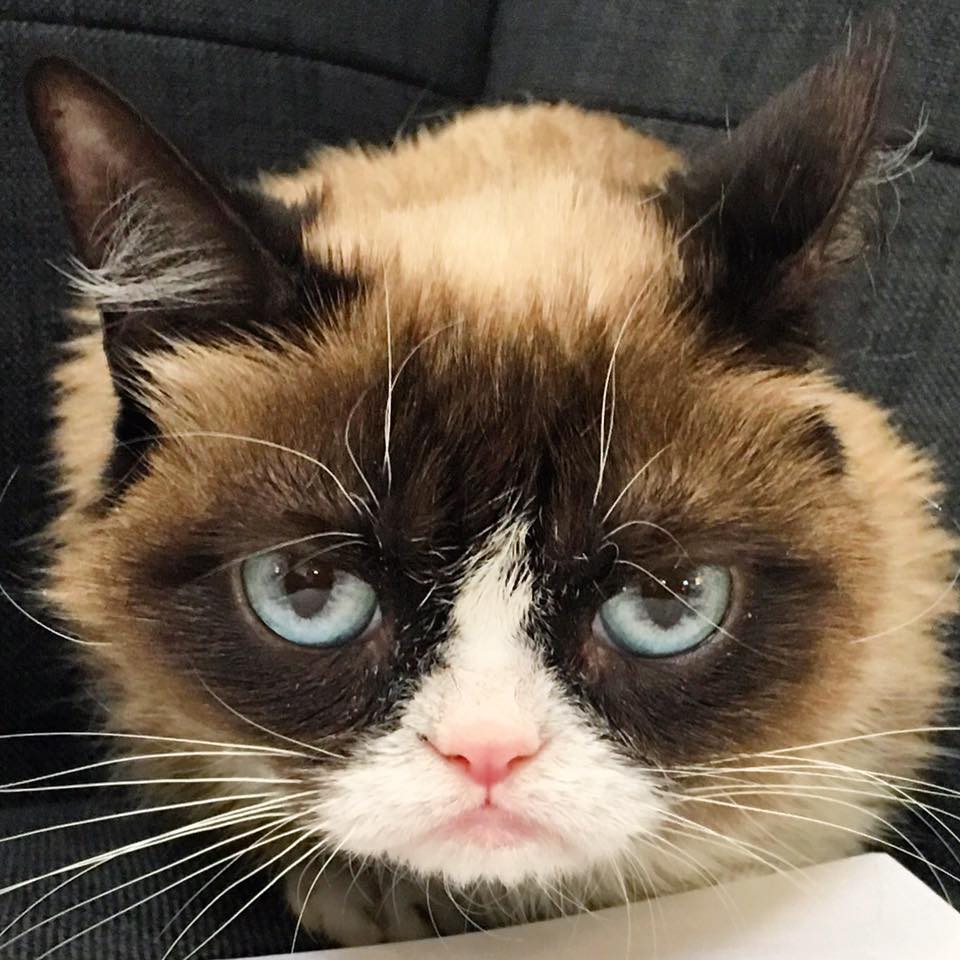 Close-up Grump